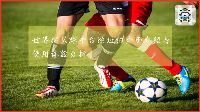 世界杯买球平台地址的全面介绍与使用体验分析