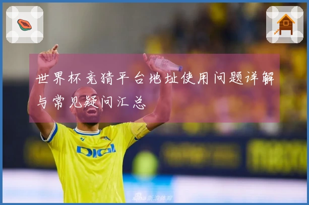 世界杯竞猜平台地址使用问题详解与常见疑问汇总