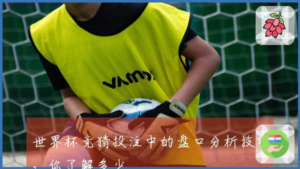 世界杯竞猜投注中的盘口分析技巧，你了解多少