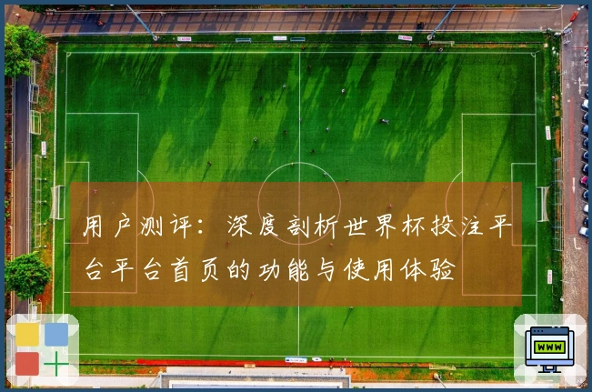 用户测评：深度剖析世界杯投注平台平台首页的功能与使用体验