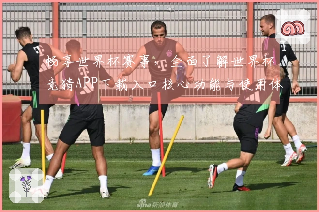 畅享世界杯赛事，全面了解世界杯竞猜APP下载入口核心功能与使用体验