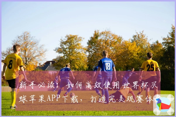 新手必读：如何高效使用世界杯买球苹果APP下载，打造完美观赛体验