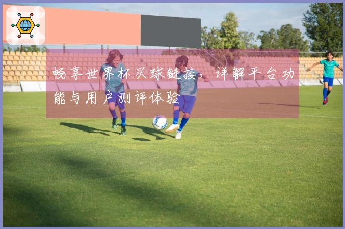 畅享世界杯买球链接，详解平台功能与用户测评体验