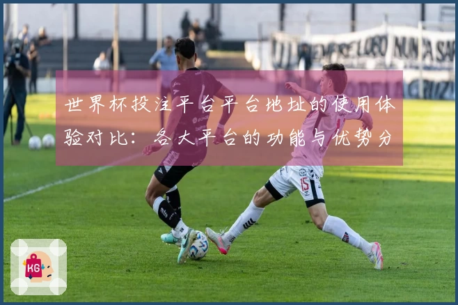 世界杯投注平台平台地址的使用体验对比：各大平台的功能与优势分析