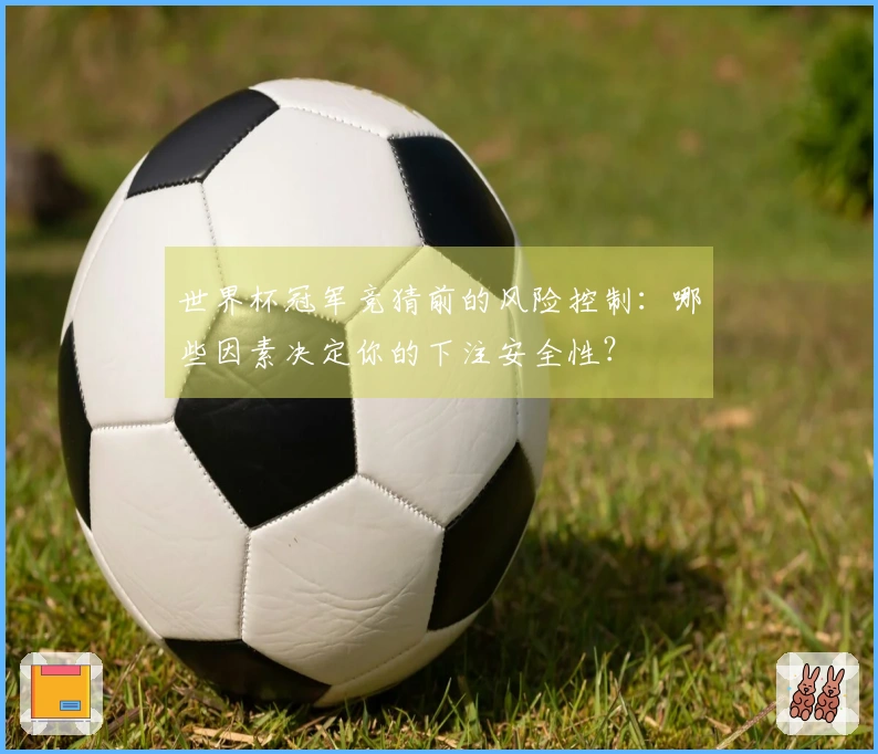 世界杯冠军竞猜前的风险控制：哪些因素决定你的下注安全性？